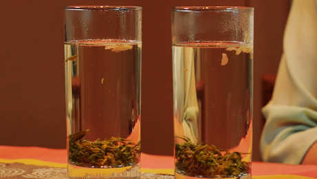 茉莉花茶怎么看好坏？