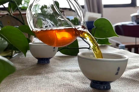 茶的常识和分类
