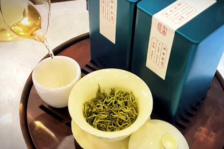 茶的常识和分类