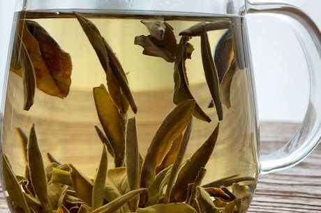 白茶的分类