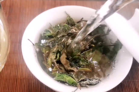 白茶的分类