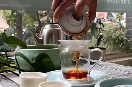 为什么第一泡茶不能喝？