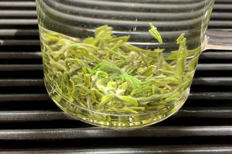 洞庭碧螺春的历史