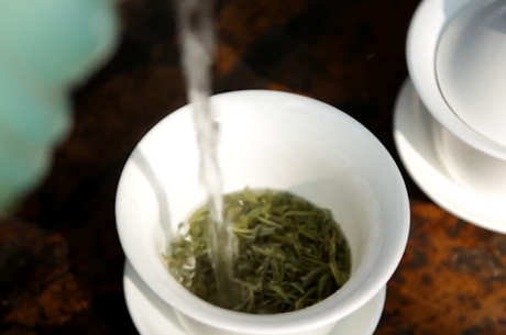 雀舌茶的产地在哪里？