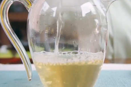 什么茶属于黄茶？