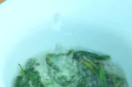 中国十大名茶有哪些？