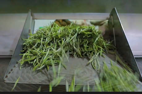 中国十大名茶有哪些？