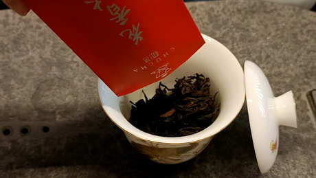 大红袍品种