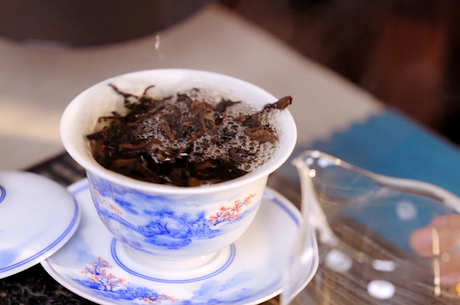 大红袍品种