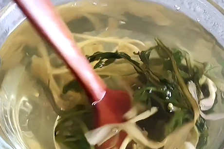 蒲公英泡茶要洗吗？