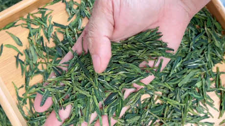 龙井茶适合女性饮用吗？