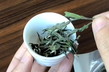 女人喝白茶吗？