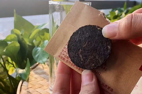 介绍安化红茶黑针