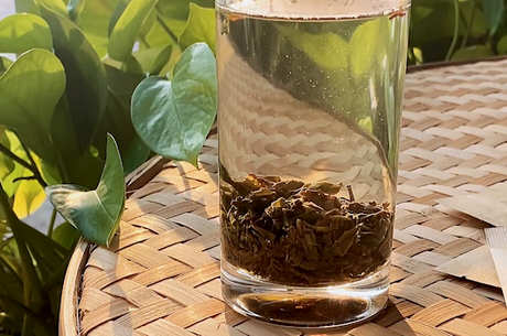 介绍安化红茶黑针