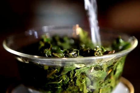 铁观音茶是红茶还是绿茶