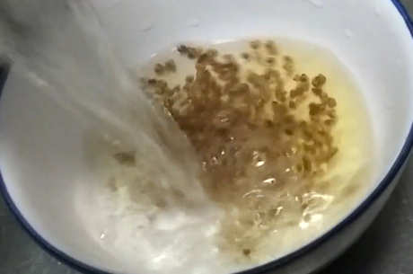 苦荞茶怎么做？