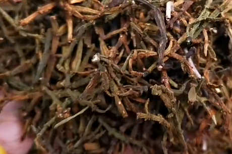 蟹脚茶是什么茶？