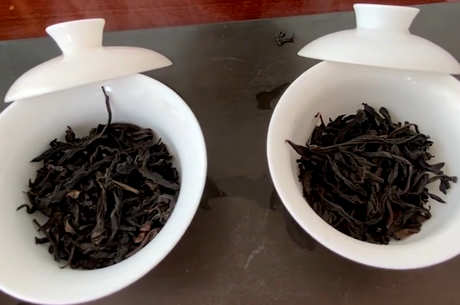 肉桂茶介绍