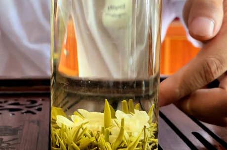 茉莉花茶介绍