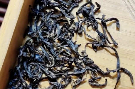 茶的起源和历史