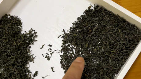 中国24种名茶