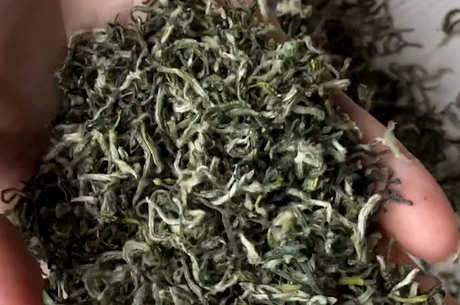 中国24种名茶
