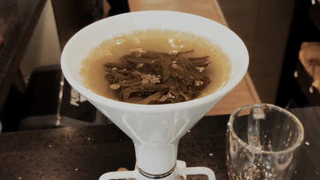 绿茶有哪些品种？