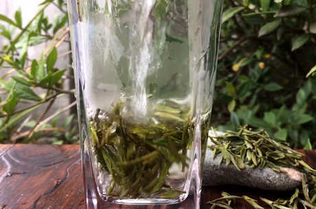 绿茶有哪些品种？