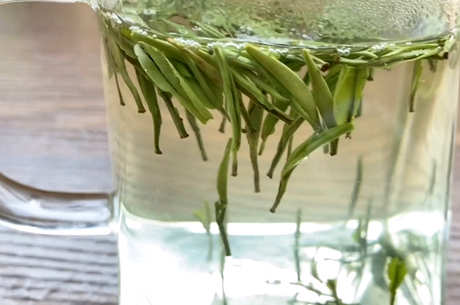 绿茶有哪些品种？