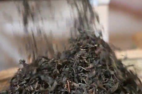 红茶有哪些品种？