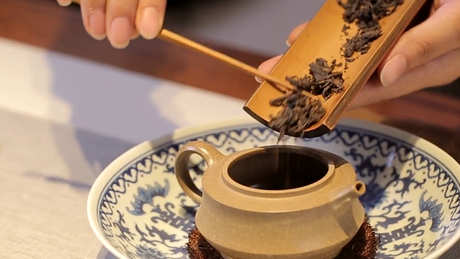 如何选择茶壶？