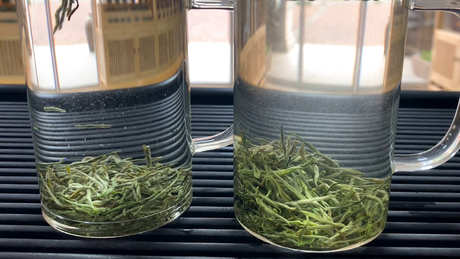 茶叶已经过期五年了，但是没有开封还能喝吗？