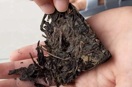 红茶包括什么茶