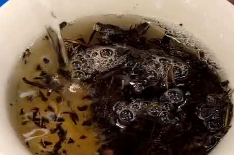 红茶包括什么茶