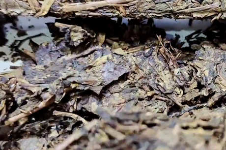 红茶有哪些种类？