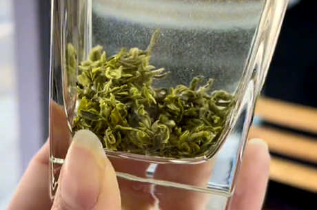 蒙顶茶属于什么茶？