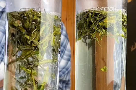 浓茶和淡茶的区别