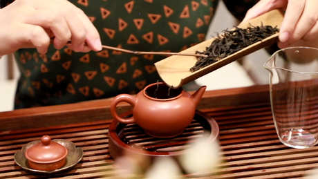 乌龙茶属于什么茶？