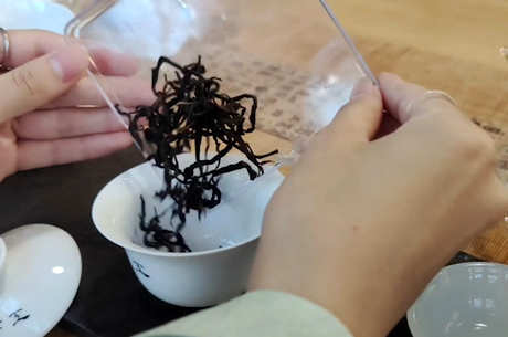 为何乌龙茶女孩不能喝？
