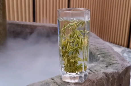 茶叶是冷冻还是冷藏？