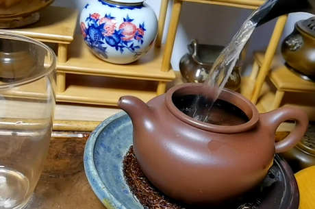 茶闷泡是指什么
