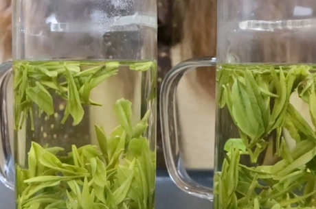 十大绿茶品种