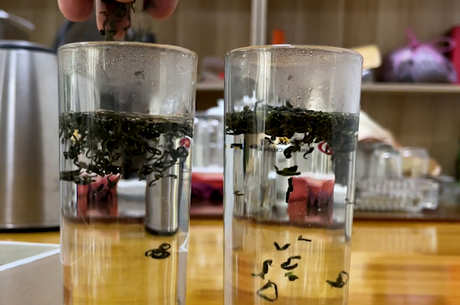 十大绿茶品种