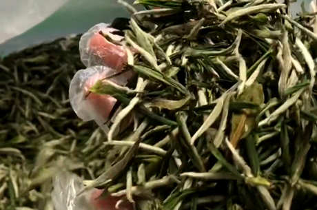 十大绿茶品种