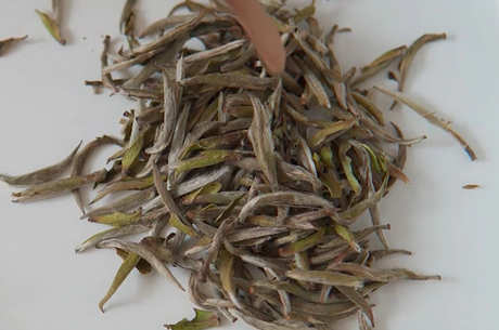 哪种茶属于绿茶？