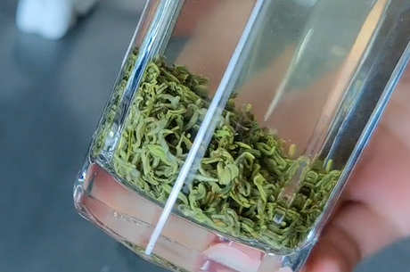 哪种茶属于绿茶？