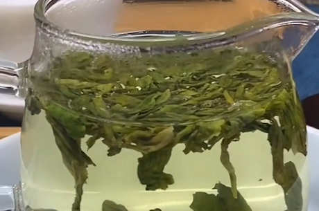 哪种茶属于绿茶？