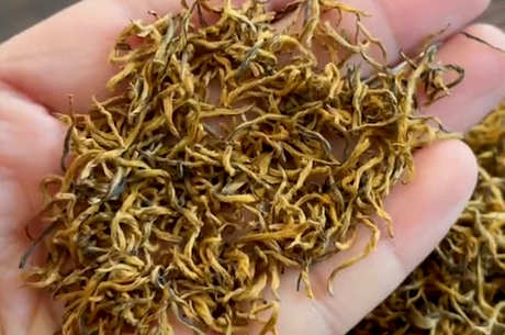 金骏眉茶的颜色是什么？