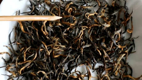 金骏眉是生茶还是熟茶？