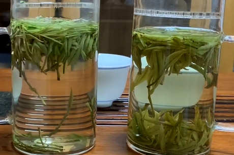 绿茶和红茶的本质区别